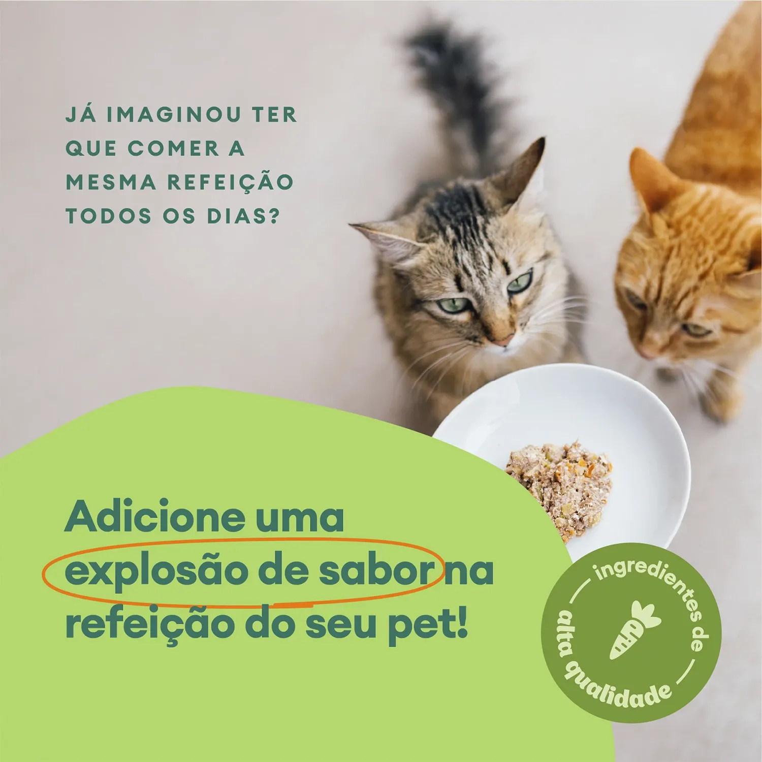 Ingredientes de Alta Qualidade